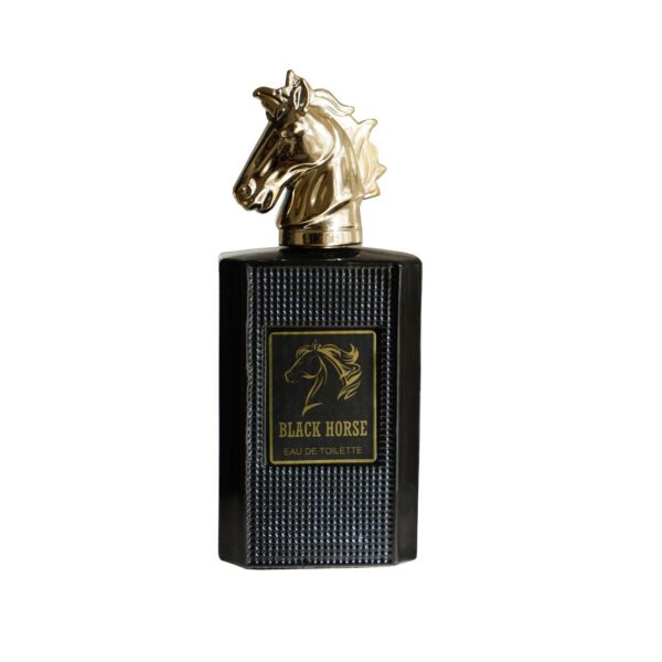 قیمت وخرید ادکلن مردانه مدل هورس بلک BLACK HORSE