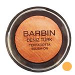 رژگونه ابروبادی باربین BARBIN